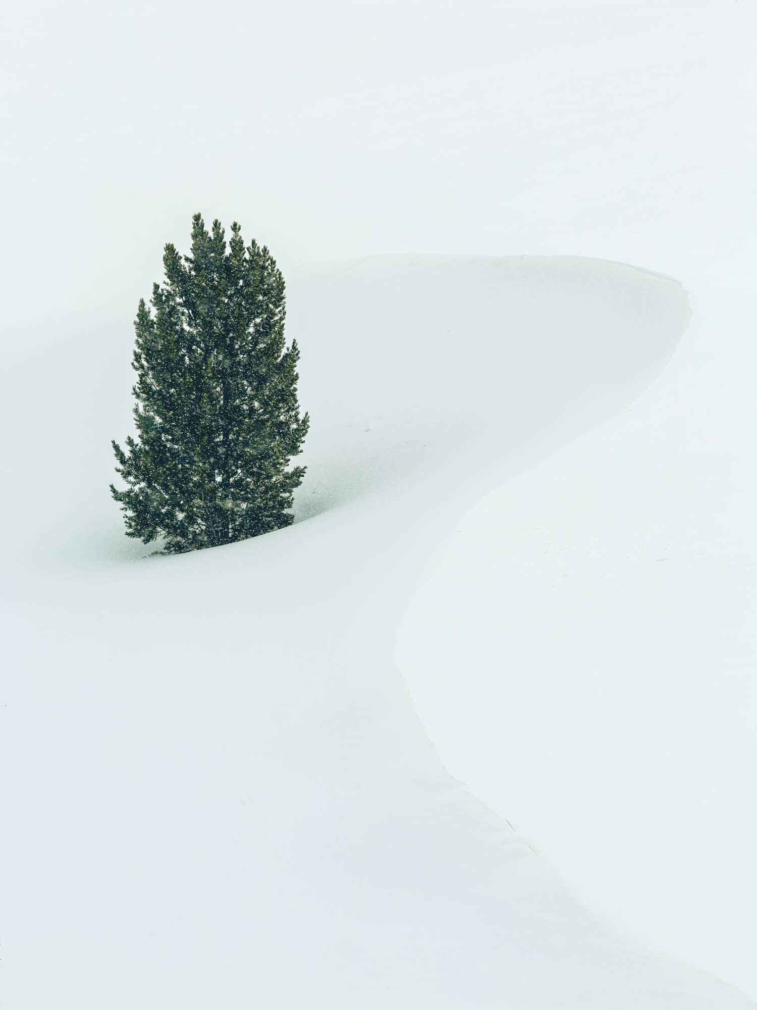 _R5A5233