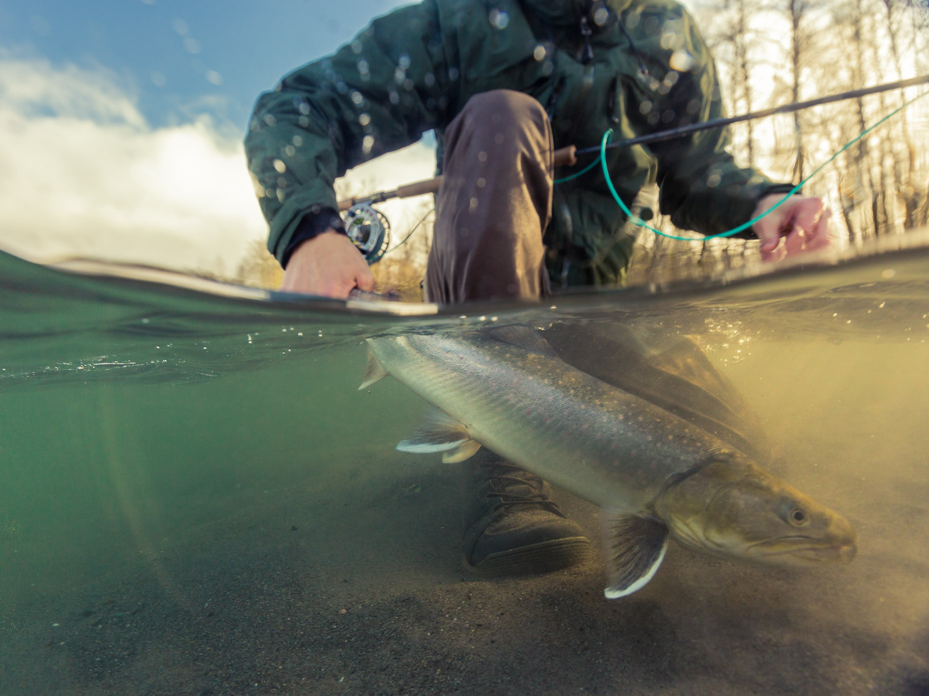 Paul Schmiere with a beautiful bull trout
